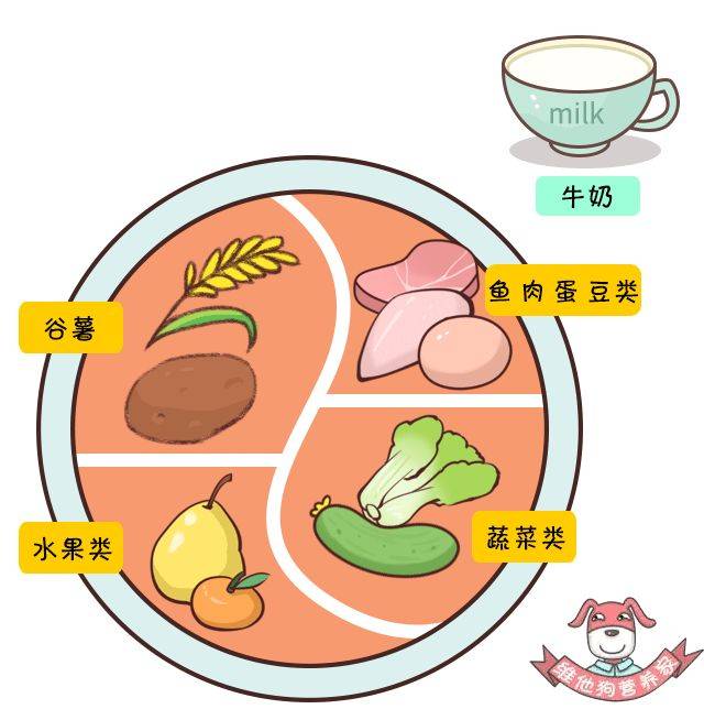 科普营养如何为自己安排一天的平衡膳食一日三餐有学问