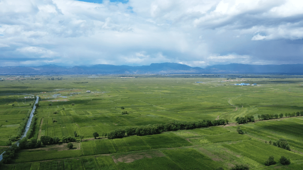 土左旗全力推进高标准农田建设