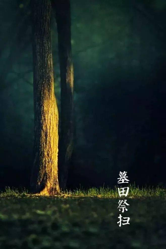 生态学_生态学考研院校推荐排名_生态学考研方向有哪些