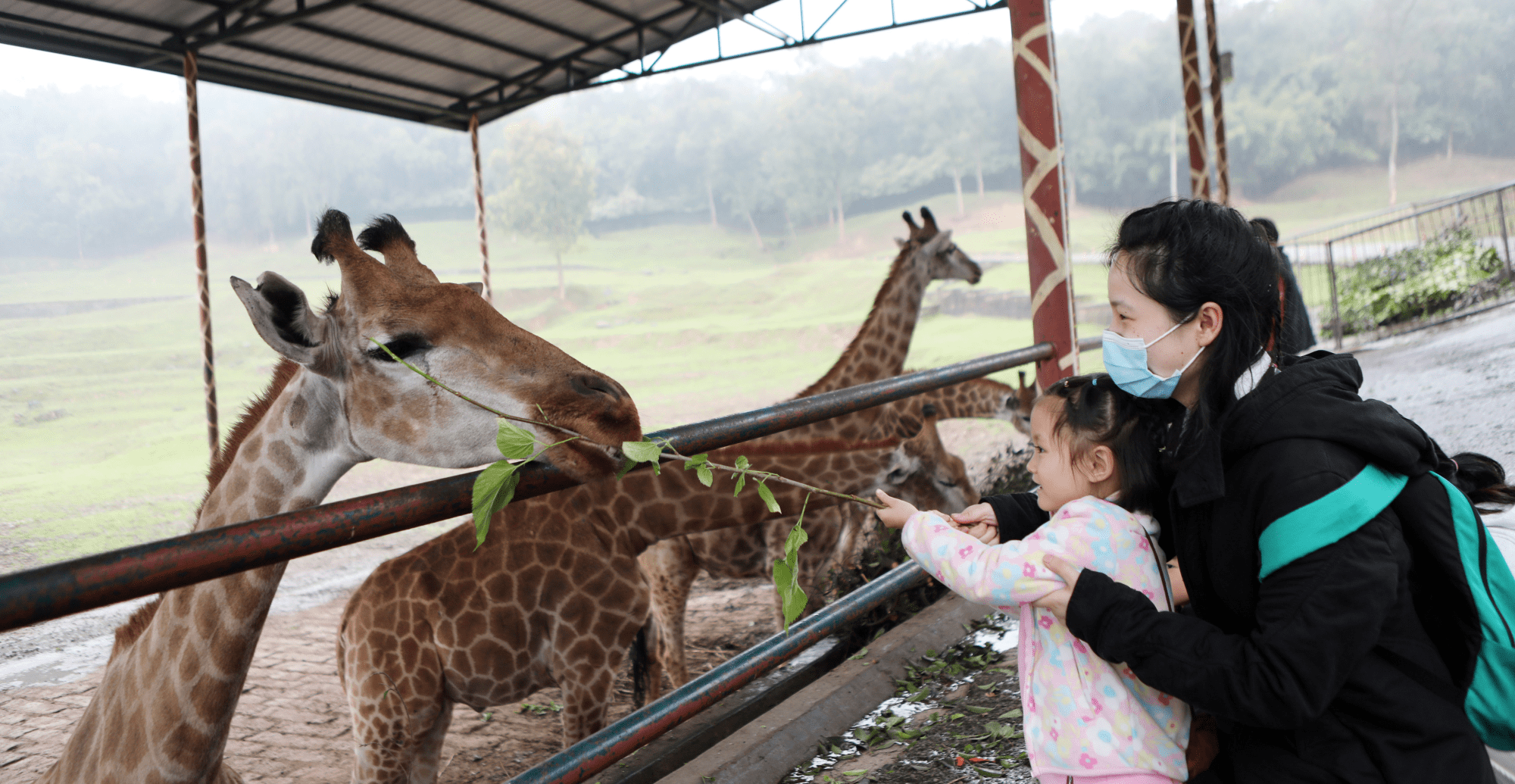 重庆：游客与野生动物尽享小长假好时光