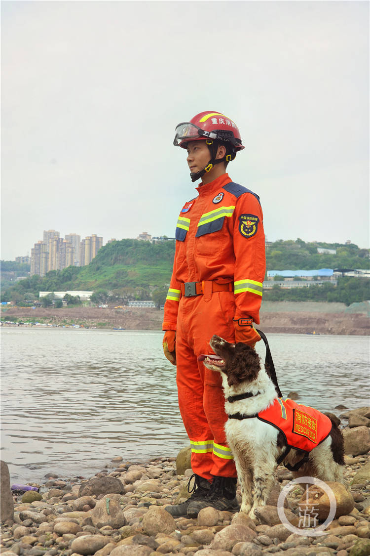 搜救犬海啸图片