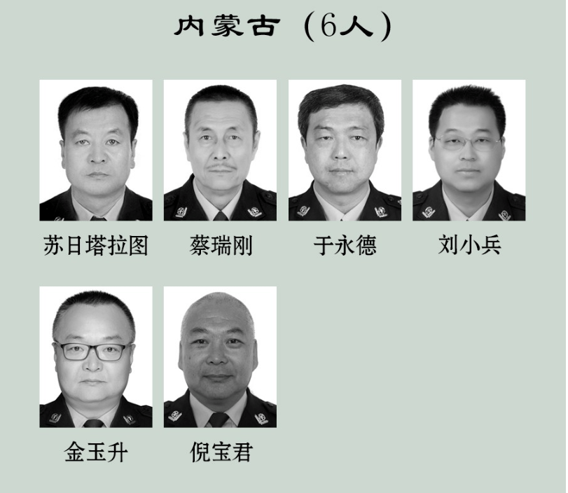 白木仁,刘海旺,宝力格,郭涛,徐爱先,张恕,苗亚夫