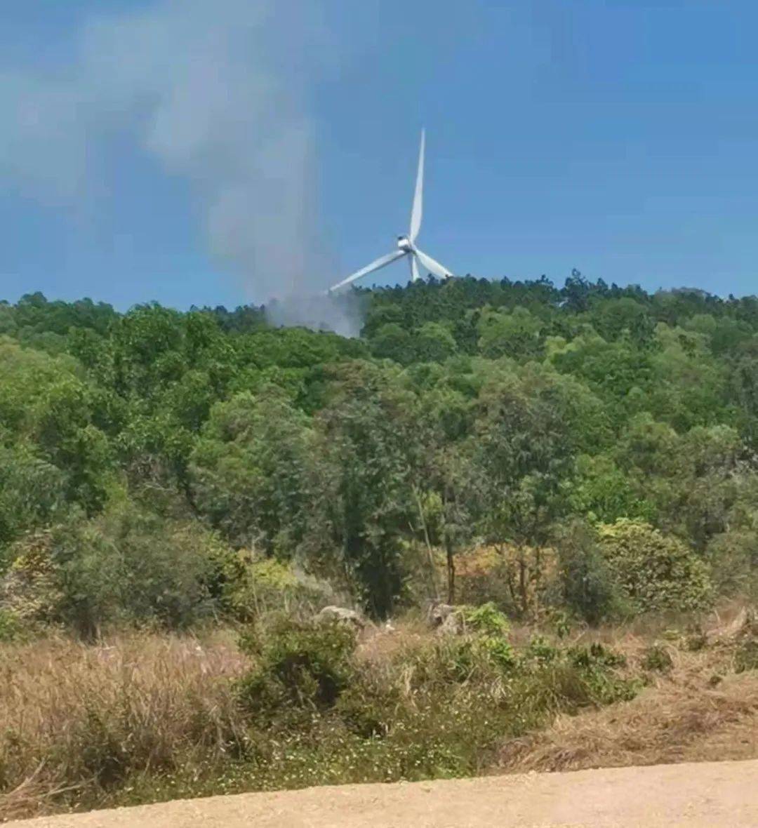 陆丰再抓5人扫墓期间引发火灾