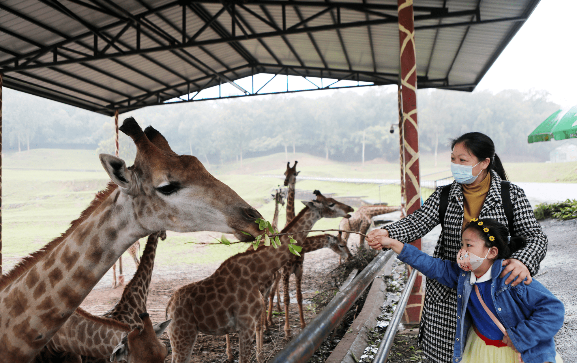 重庆：游客与野生动物尽享小长假好时光