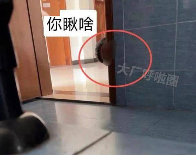 南信大一副教授偷窥女厕所现场画面被曝光该事件引发网友热议