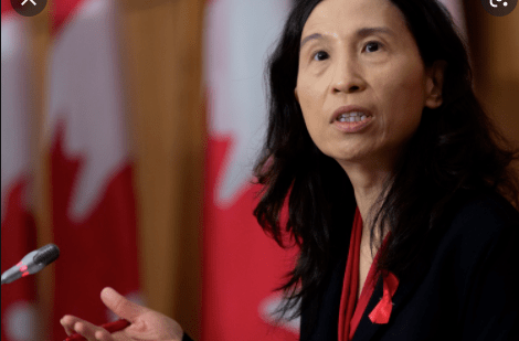 省长贺瑾新冠阳性大温多人确诊omicron后复阳成为春日里的隐形炸弹