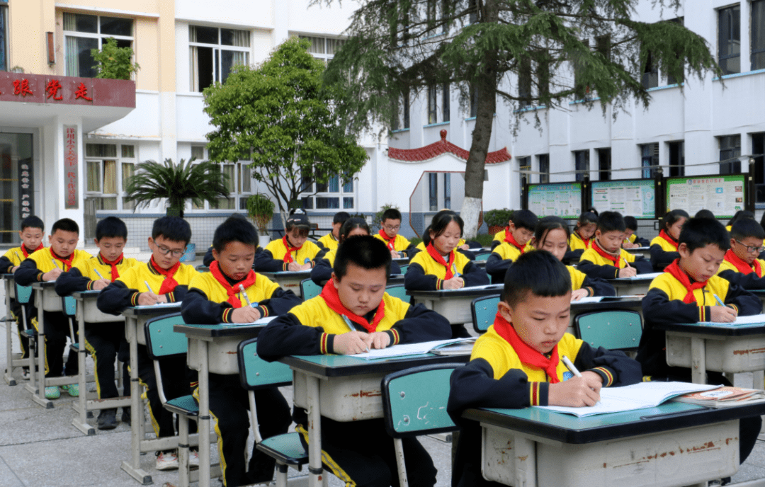 贵州省绥阳县洋川小学图片