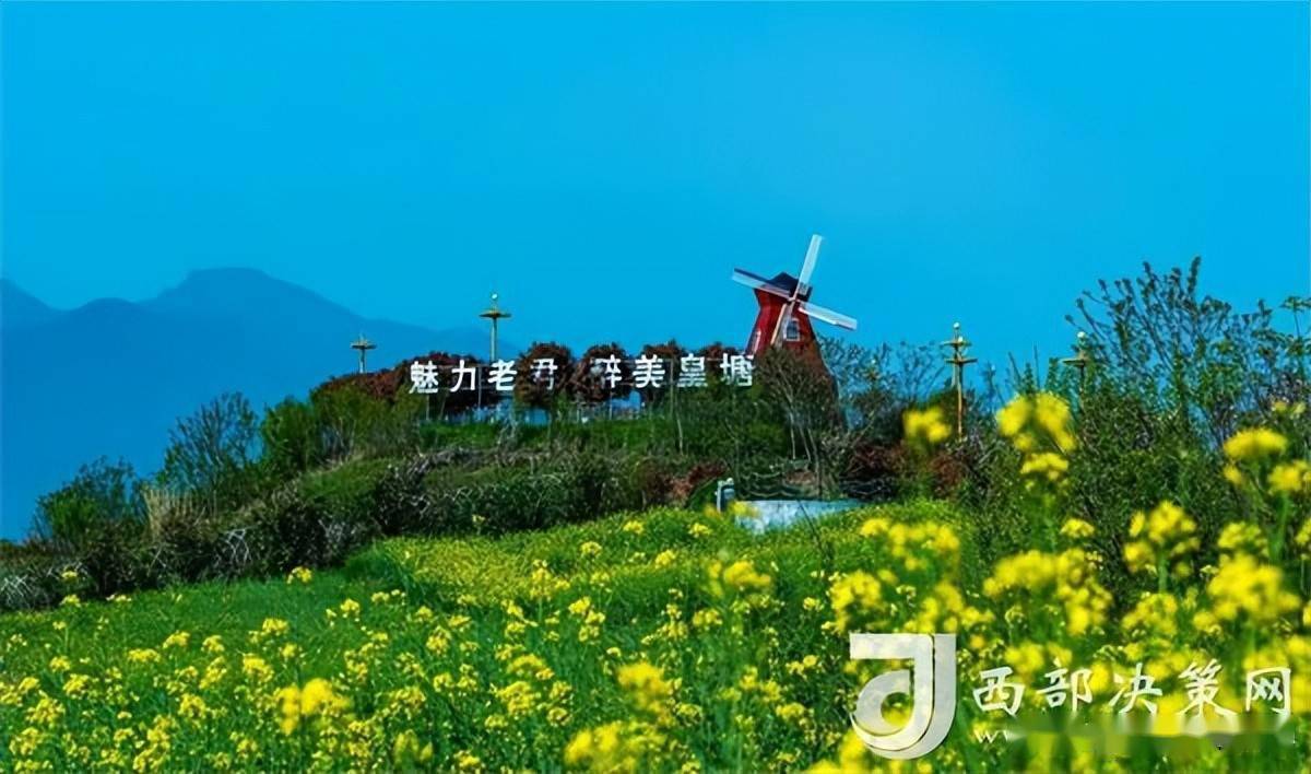 汉中油菜花 汉台区图片