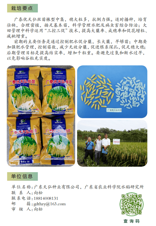 富美占水稻品种介绍图片