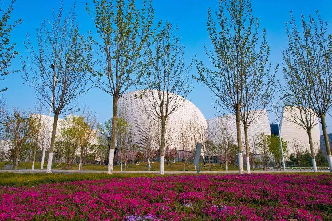 看云看乐看绿港