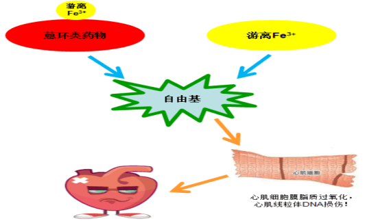 图3 蒽环类药物引起心脏毒性的机制示意图2 骨髓抑制:是蒽环类药物