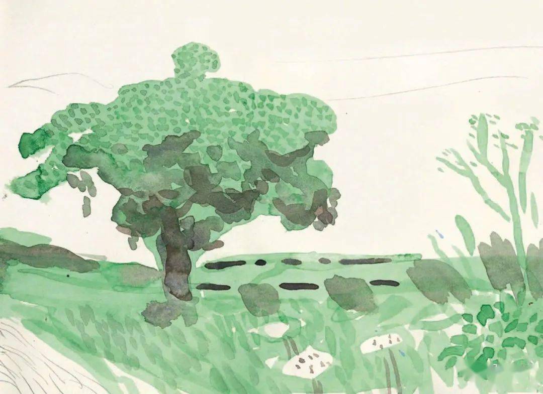 生机勃勃绿意盎然大卫霍克尼davidhockney水彩风景作品