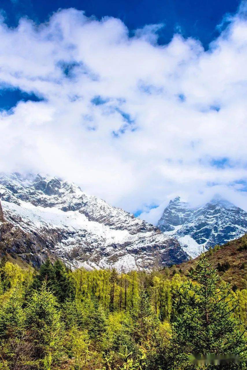 西藏太远川西很近