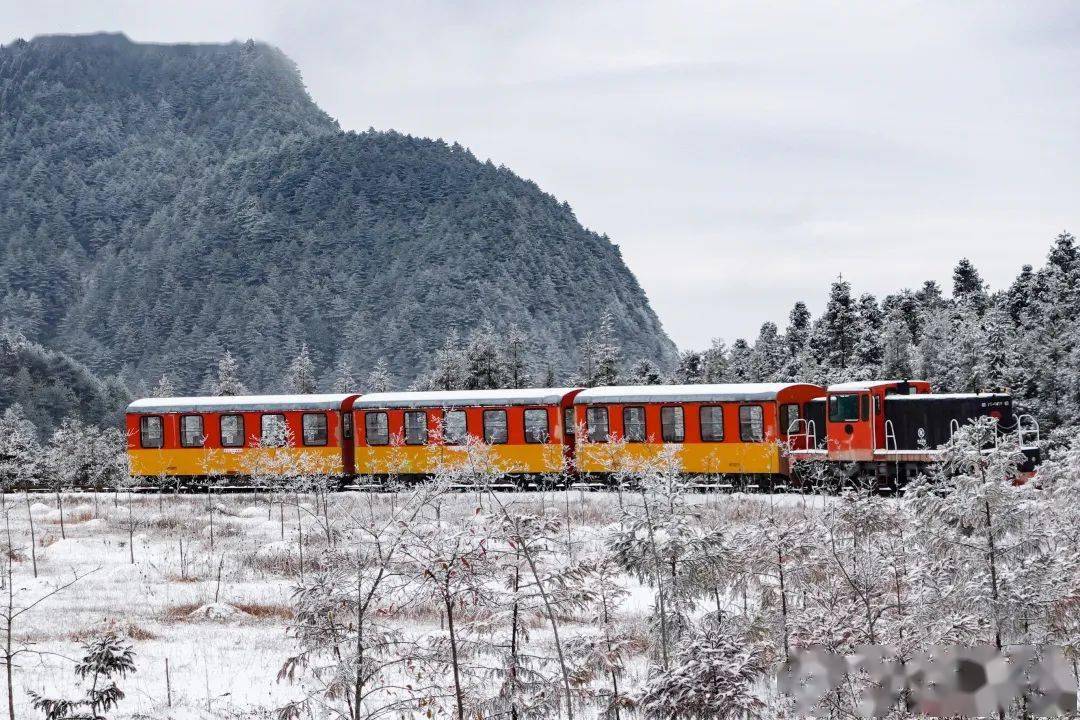 明月山小火车图片