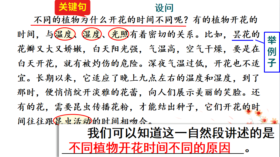 课文4《昆虫备忘录》习作《我的植物朋友》语文园地一第二单元课文5