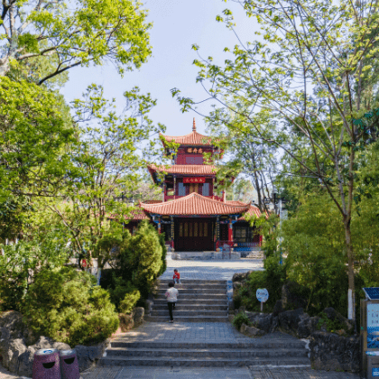 身临其境澄江凤山公园vr全景上线