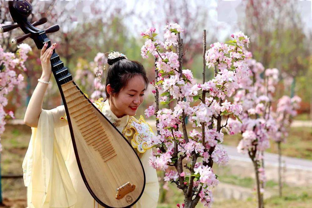 红荷湿地首届云游海棠节盛大启幕