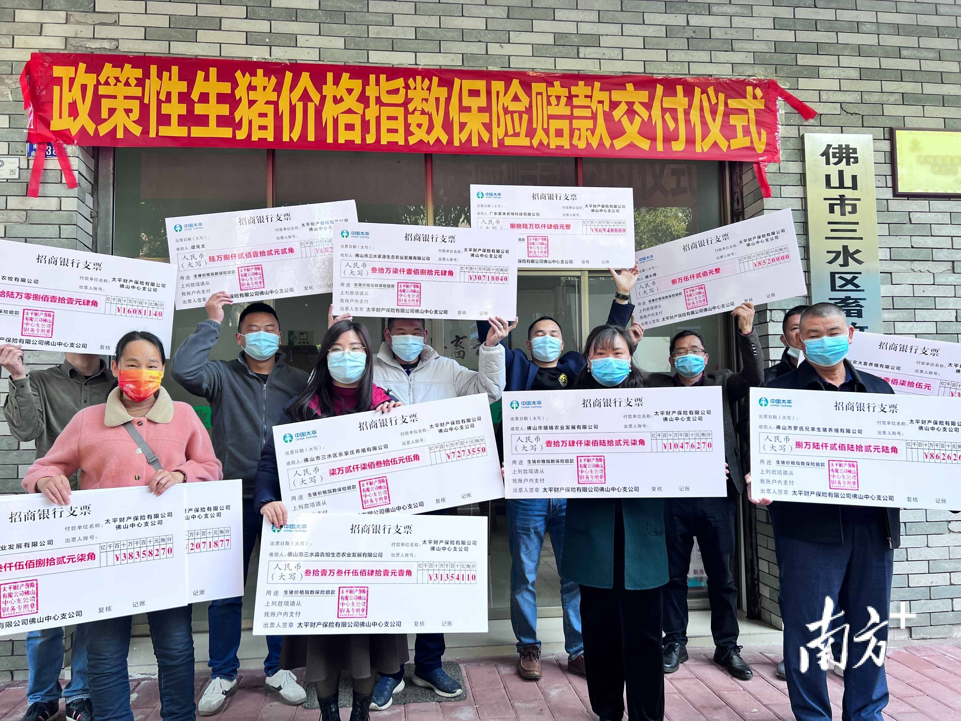 太平财险广东分公司:农险创新迸活力 织密"三农"安全网_生猪_保险