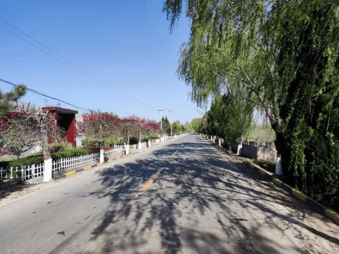 冯原镇吉安城村三月植树忙绿化美村庄