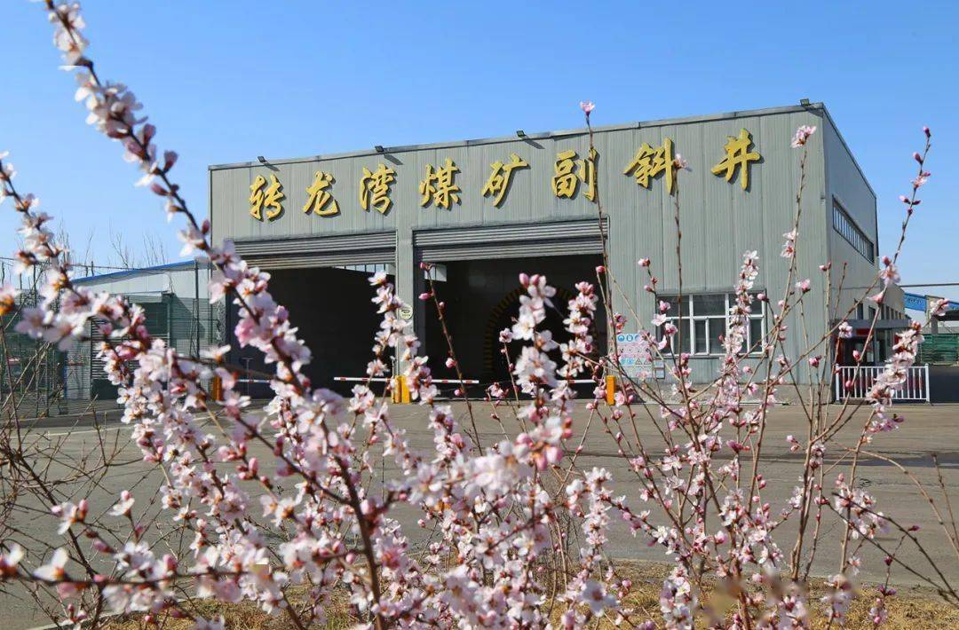 等花开 等你来 邂逅兖矿最美的春天_摄影_风中_杨村煤矿