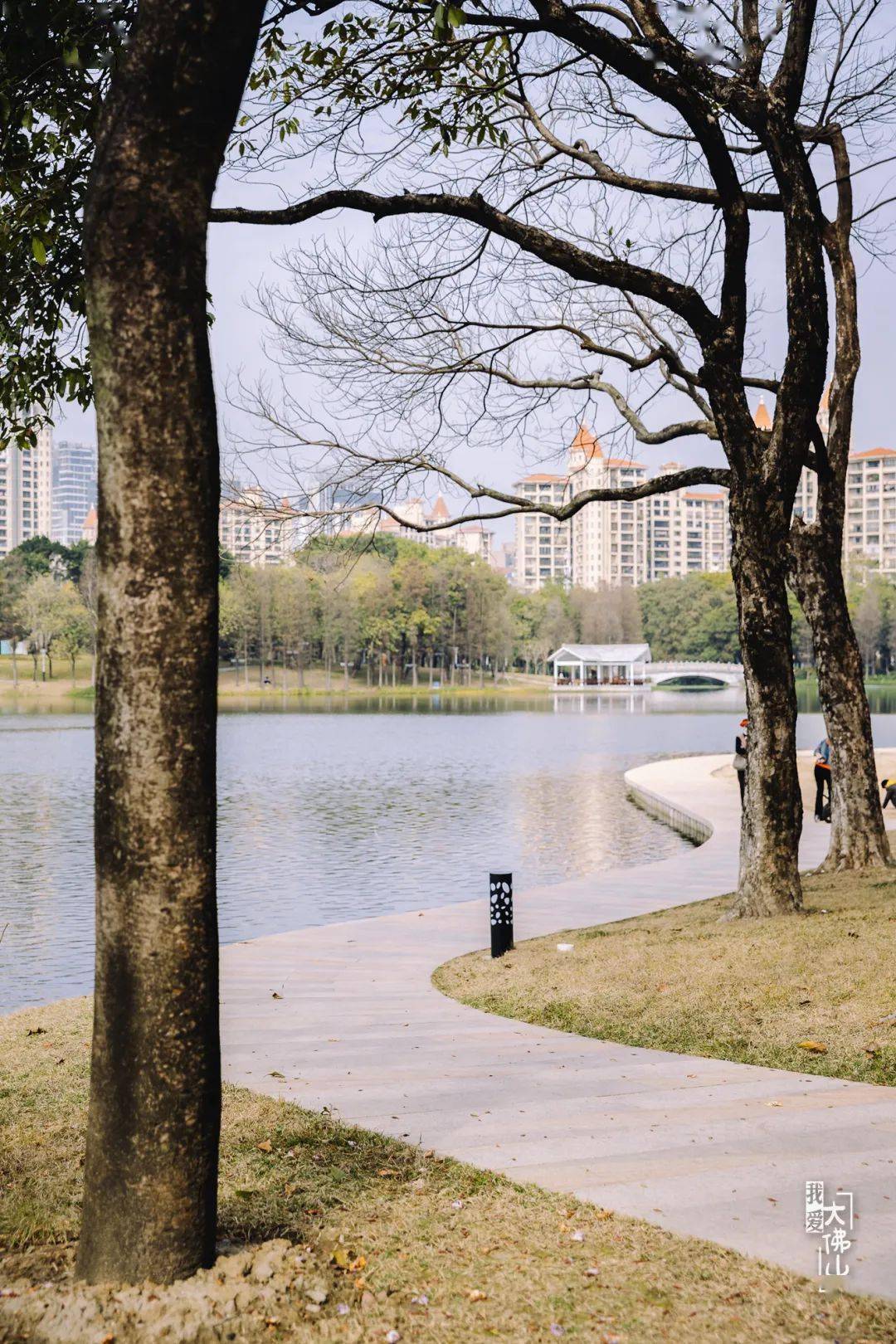 在佛山丨好久不见,亚艺公园