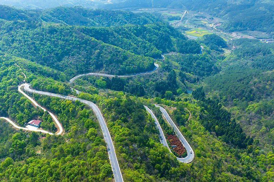 春光里的东宝|g347,一路美丽萦绕,带你徜徉春光里_河村_国道_马河镇