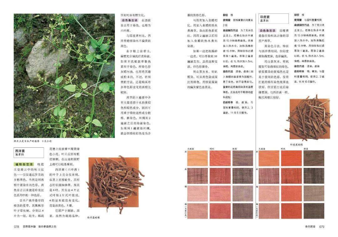 荐书| 了解日本精湛染色技艺，本期带你走进《日本草木染：染四季自然之 