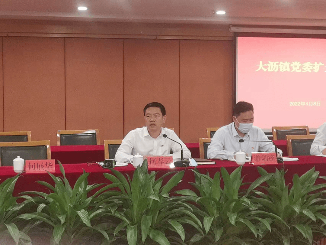 南海区委常委,大沥镇委书记何春云讲话