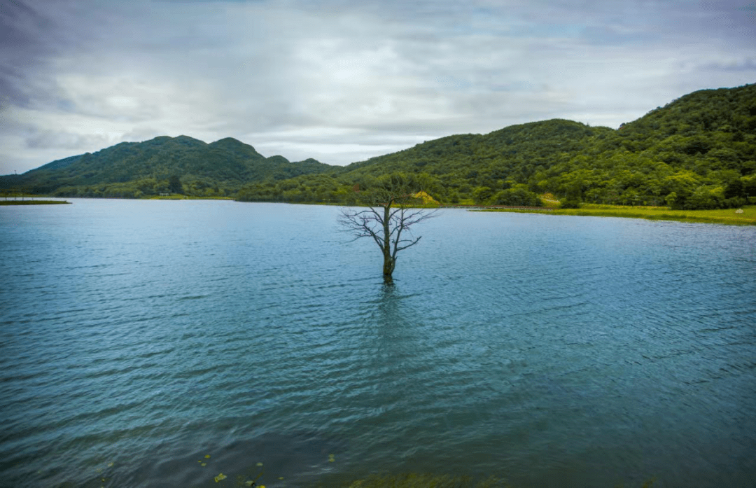 周末首选赏广元春日美景品月坝特色美食