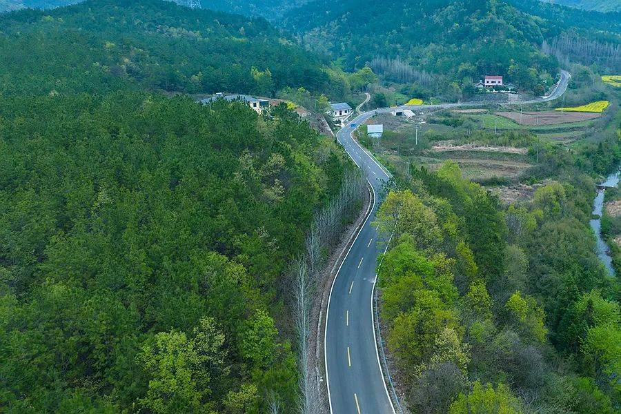 春光里的东宝|g347,一路美丽萦绕,带你徜徉春光里_河村_国道_马河镇