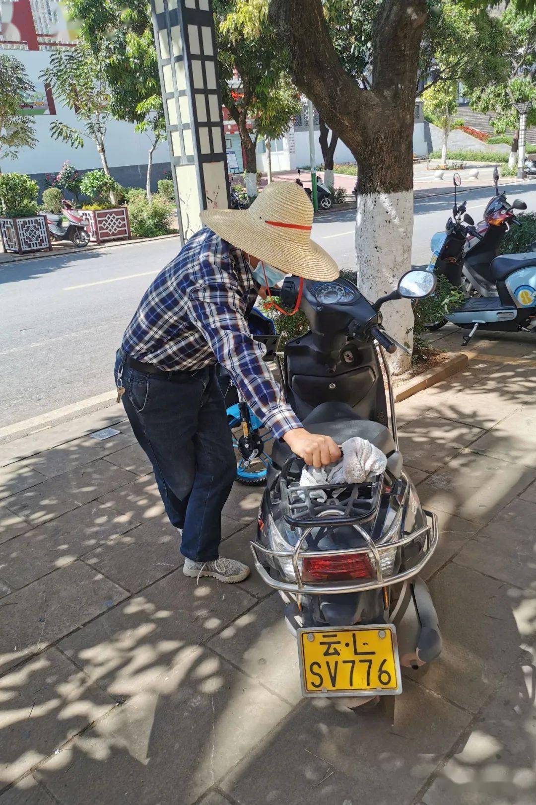 图 文:车媛媛编 辑:查