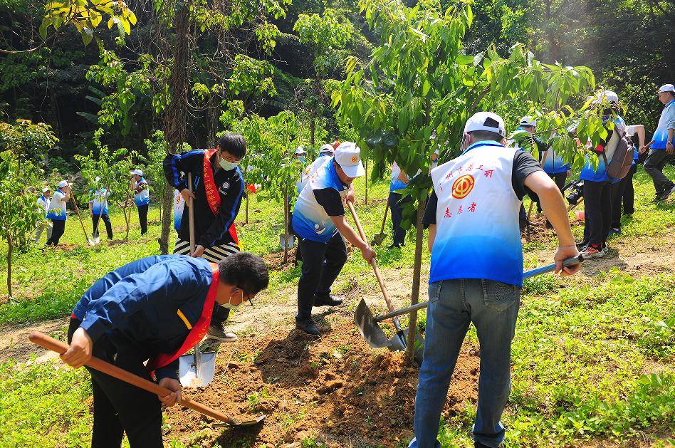 4年植树3万多棵2022年广州职工公益林义务植树志愿服务正式启动