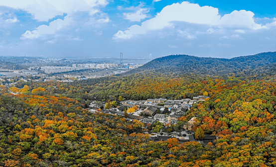 栖霞山风景_栖霞山_栖霞山景点介绍