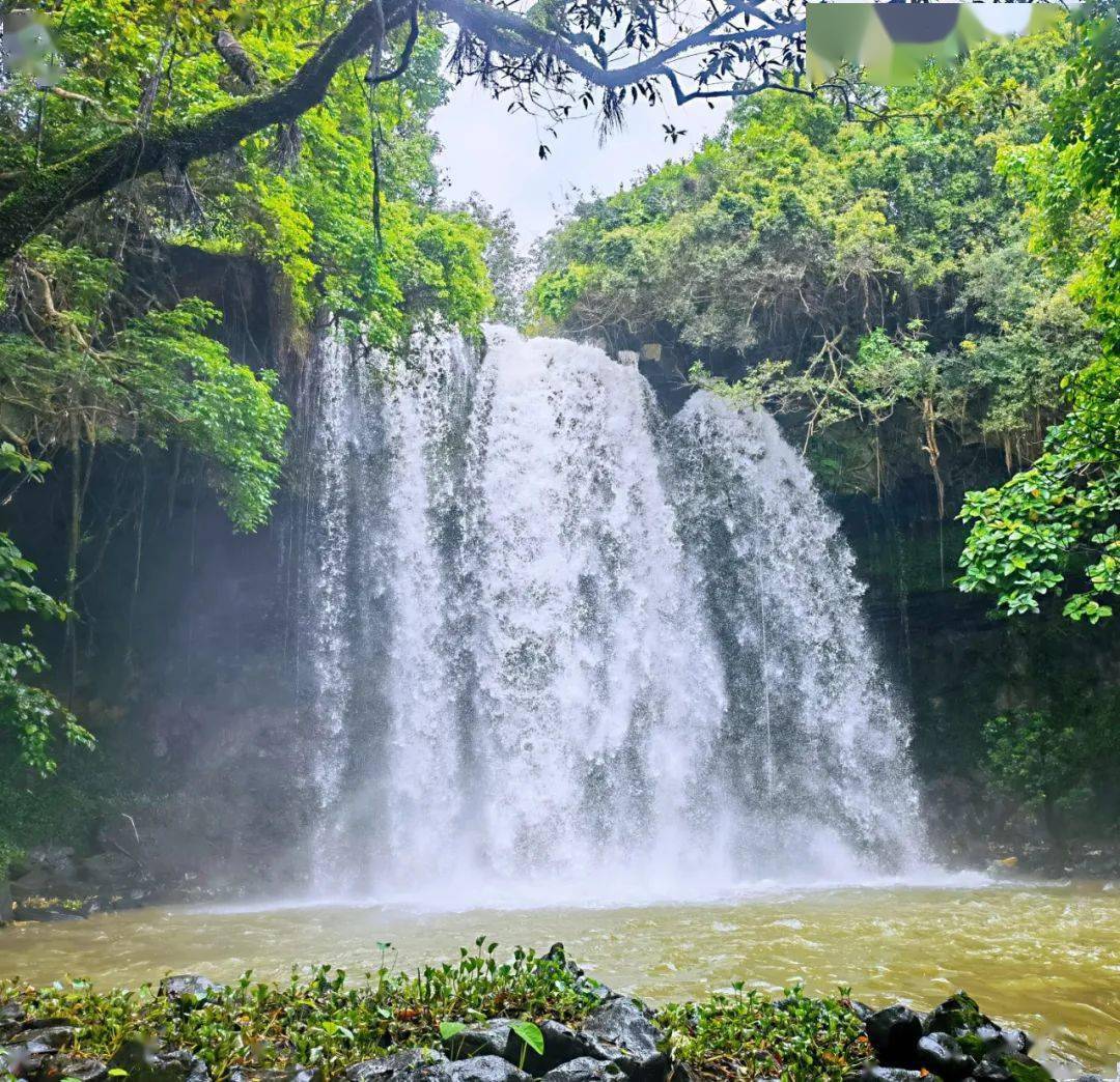 你像潔白的擎天巨柱直插蒼穹,與藍天輝映成一道絕美的風景線.