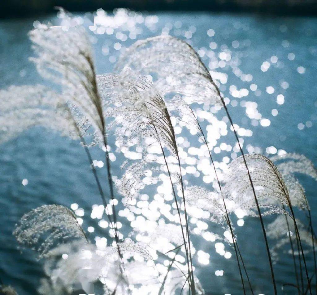 ������ʱ������ͨһ���£���ʵ�������ӷ�������