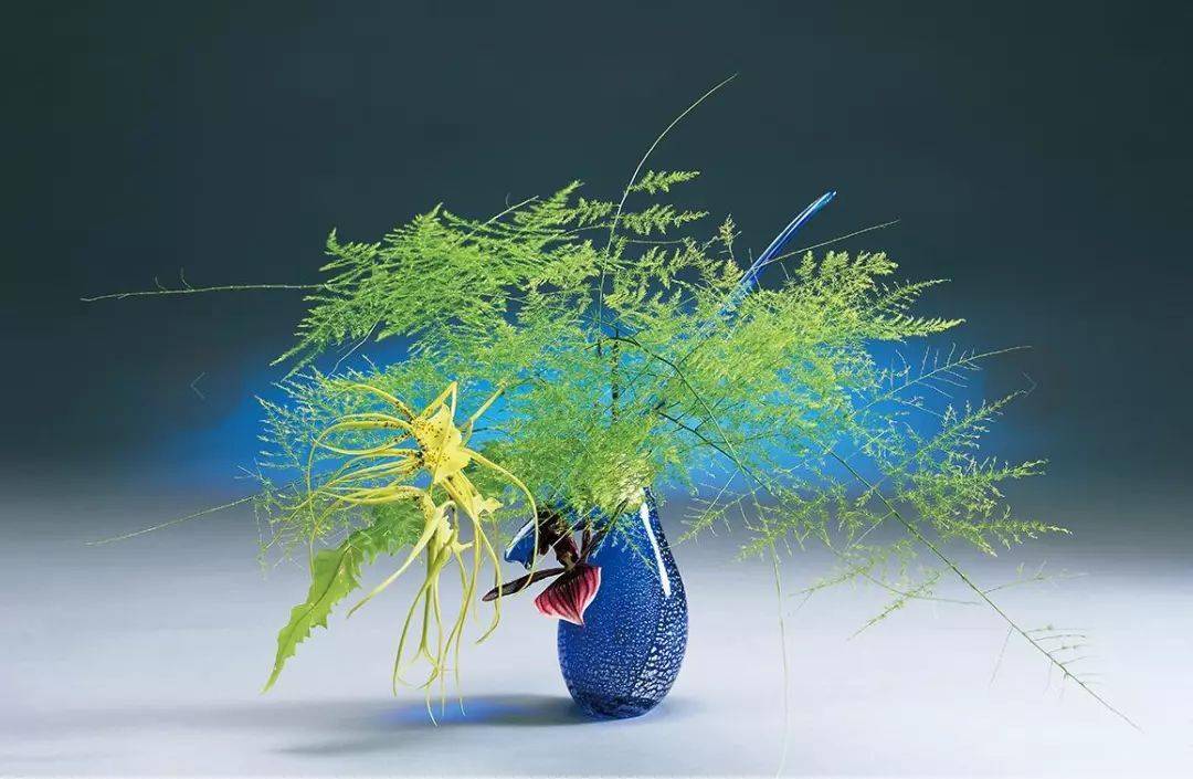 花道中的禅意_池坊_日本_自然