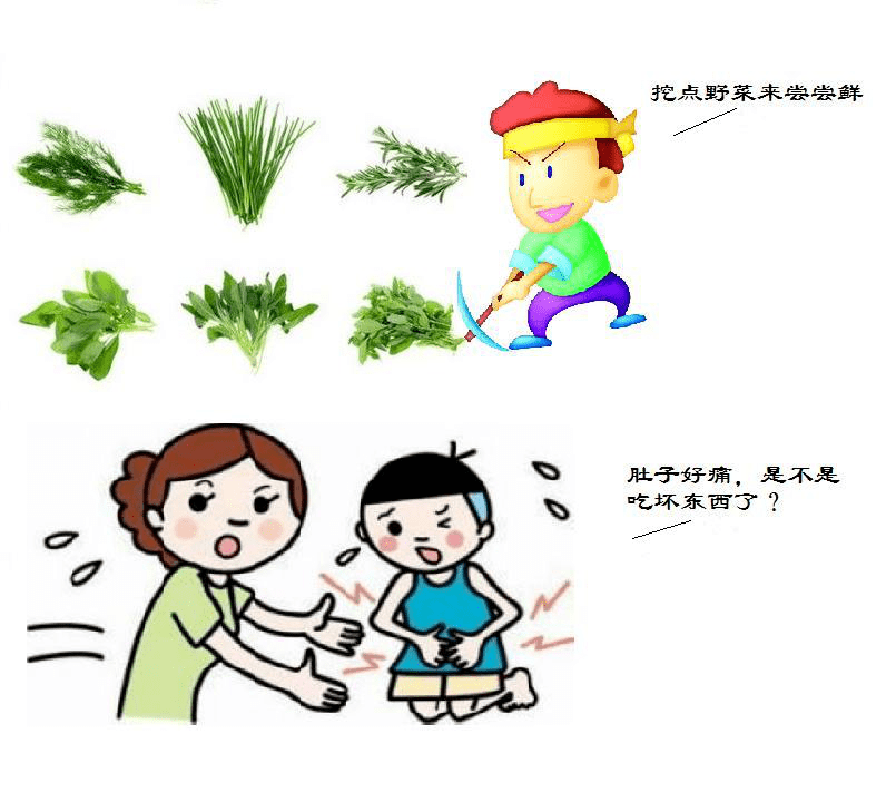 野菜虽美味食用需谨慎