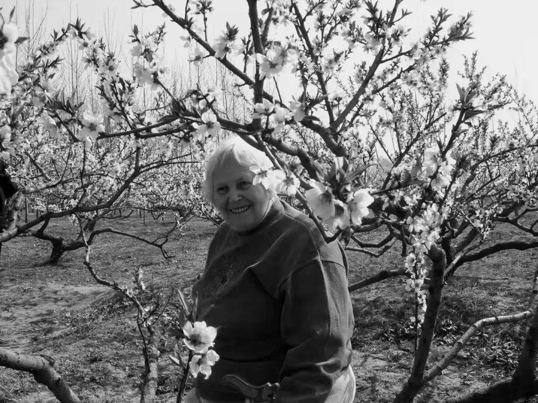 吴先生,一路走好!_黄峰_杨朝军_雪莉