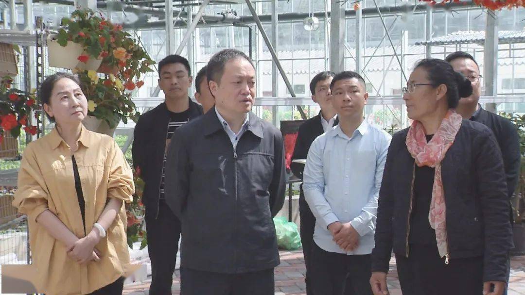 4月10日,县委副书记,县长徐开焱到三甲街道文旅小镇织金高山杜鹃博览