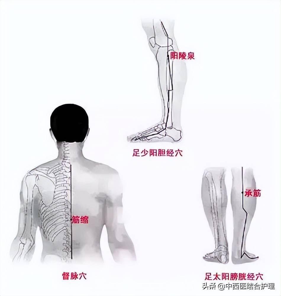 脚部穴位养生常揉此筋柔肝调五脏促睡眠