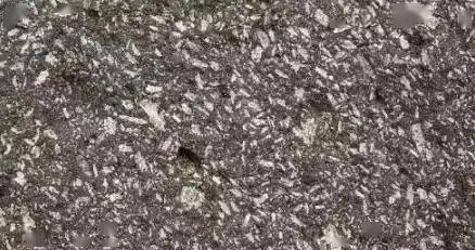 卵石状辉绿岩常被人误认为是陨石斑状镁铁质火山岩常被人误认为是月球