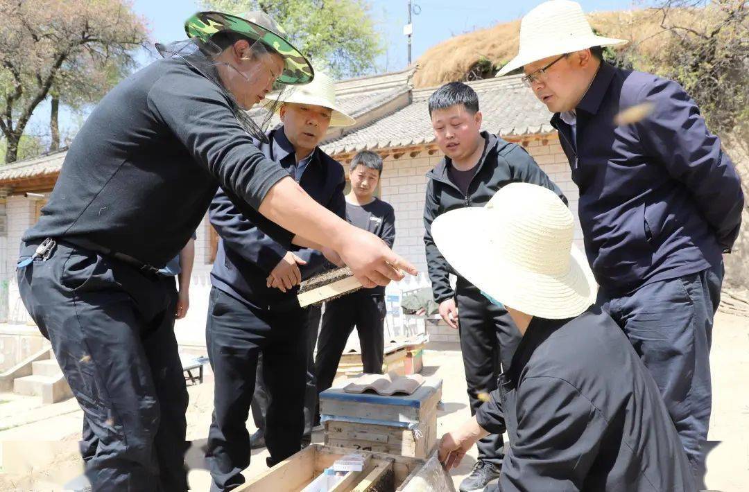 王新强检查指导山丹镇疫情防控和春耕生产等工作_整治_武山_人居