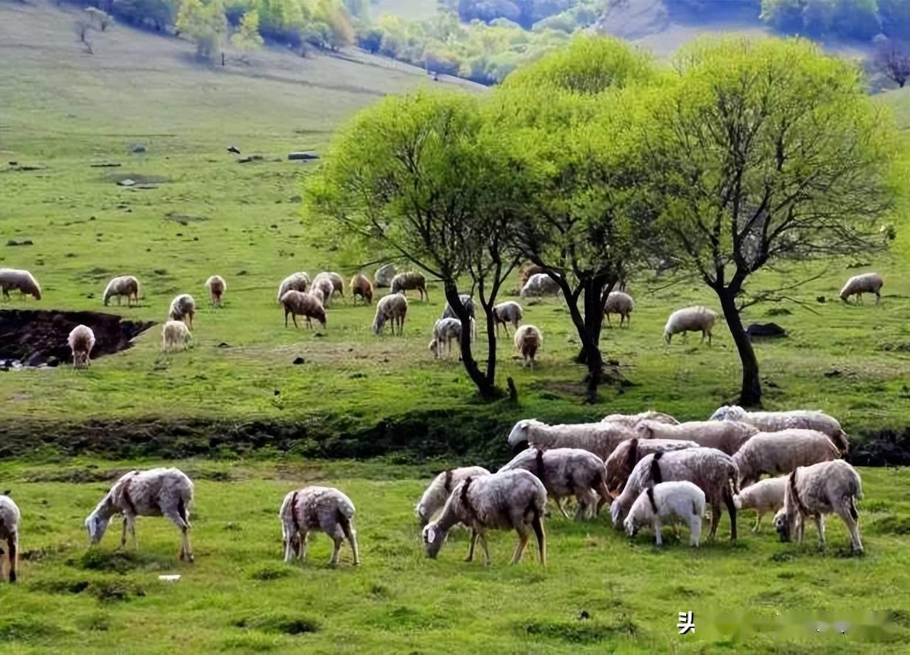 农业 旅游的10种混搭玩转乡村旅游规划_种植_产业_赢利点
