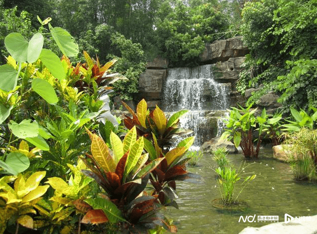 从小区到城市：下马观花体验“深圳是个大花园”