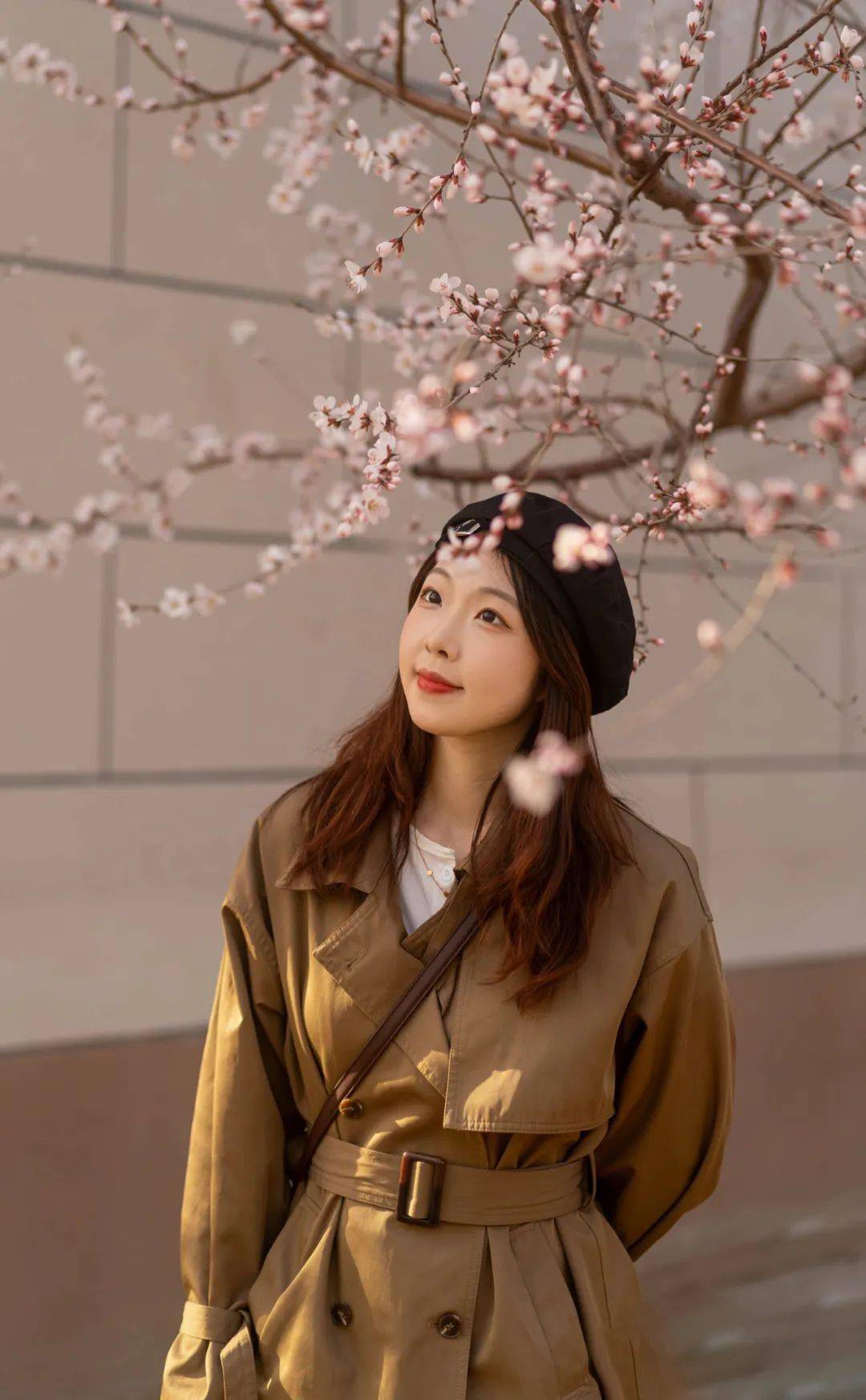 四月醉芳菲云赏辽宁校园春景人物续篇