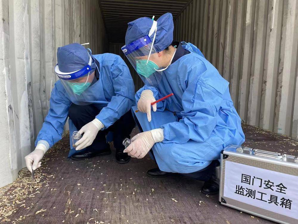 为防止外来物种入侵和动植物疫情疫病传入,拱北海关坚持总体国家安全