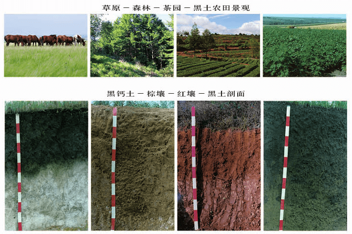 土壤教学经典用图30张最全
