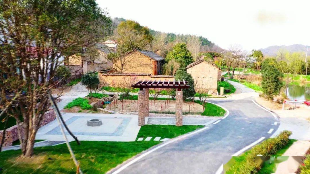 【印象庐江】百花村的"百花菜"_汤池镇_旅游_乡村