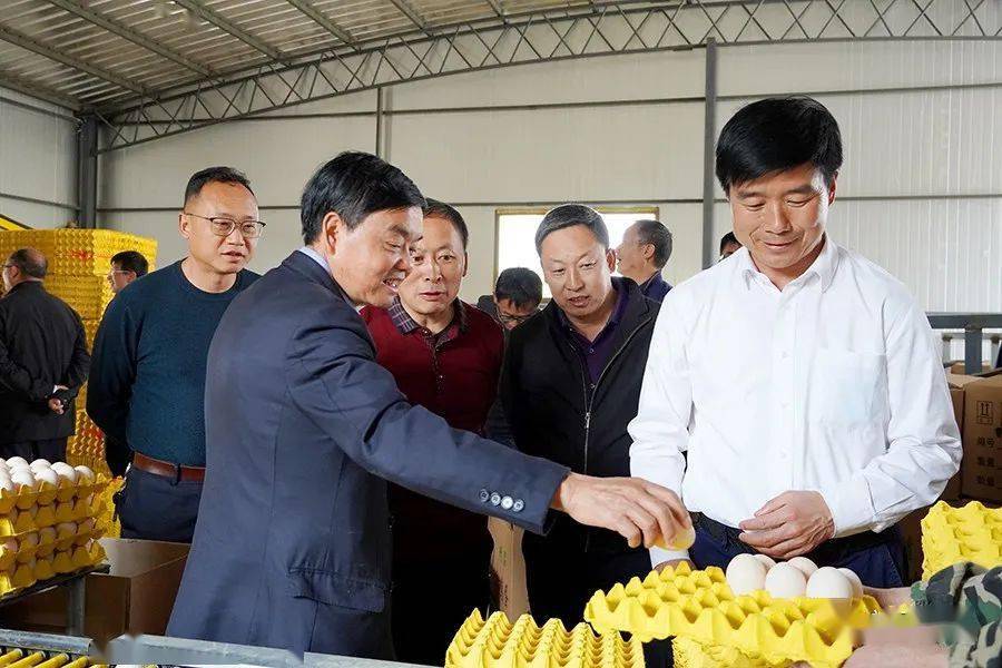 王远率队到乡镇开展重点工作第二轮巡回检查