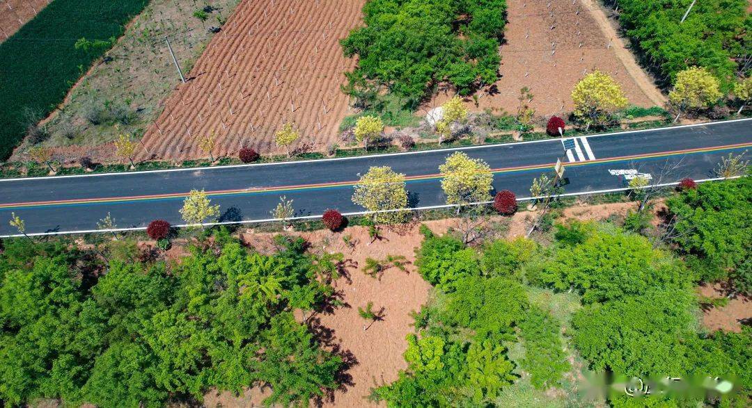 伏牛1號公路生態路旅遊路景觀路產業路富民路